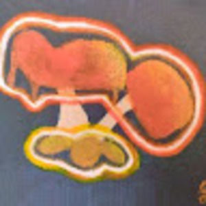 Meet your Posher, Leila